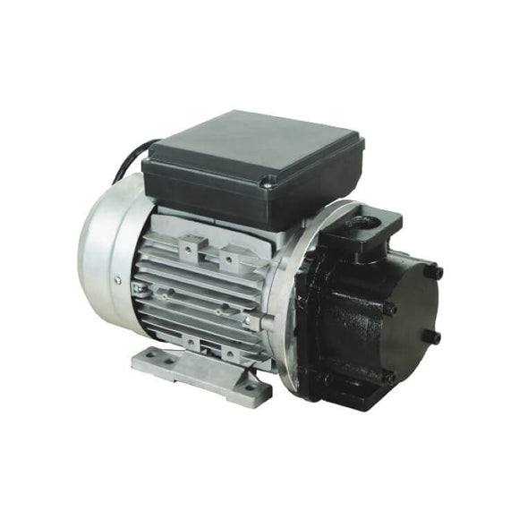 MECLUBE 090-5604-Y50 Kit pompe électrique pour transfert d'essence Jeu  Benz 50 l / min 12V buse manuelle avec Débitmètres et filre